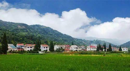 乡村振兴最大红利--农村闲置宅基地的利用与创新